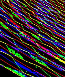 Ukendt billede af Unbekannt Unbekannt